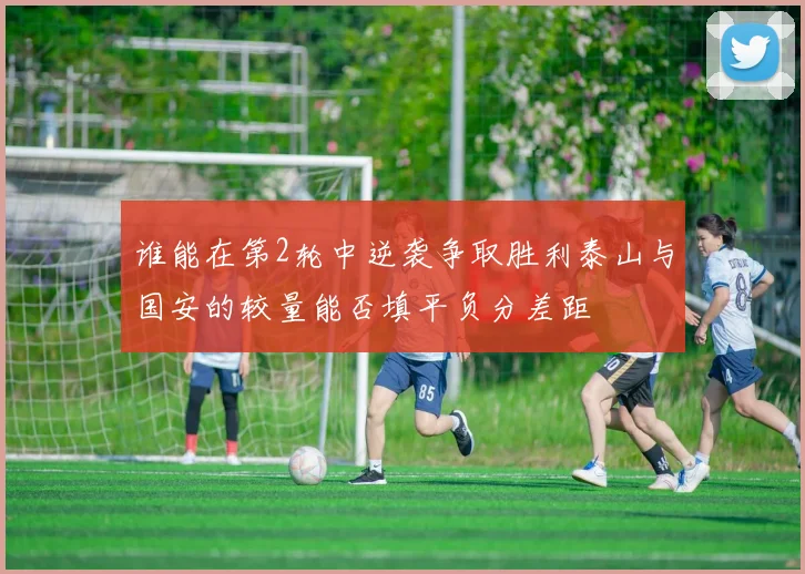 谁能在第2轮中逆袭争取胜利泰山与国安的较量能否填平负分差距