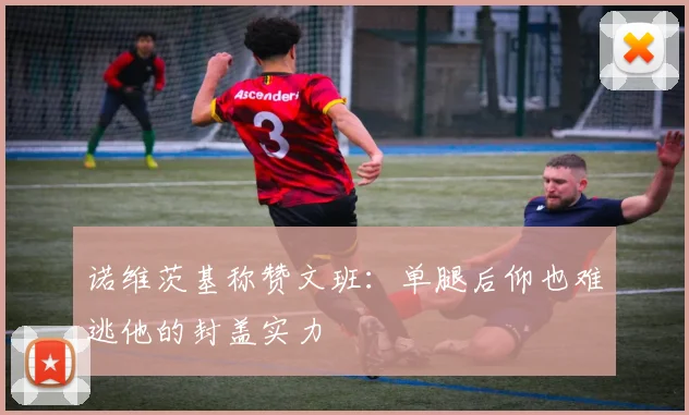 诺维茨基称赞文班：单腿后仰也难逃他的封盖实力