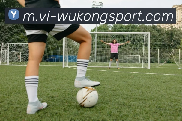 悟空体育平台生态图