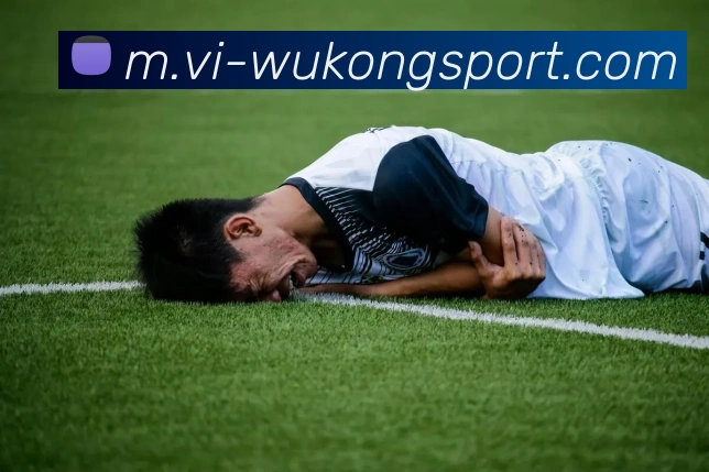 悟空体育APP 封面图